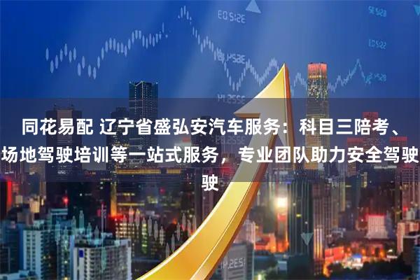 同花易配 辽宁省盛弘安汽车服务：科目三陪考、场地驾驶培训等一站式服务，专业团队助力安全驾驶