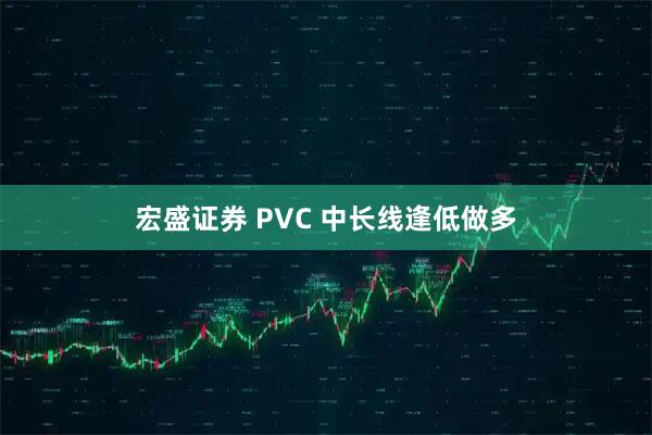 宏盛证券 PVC 中长线逢低做多